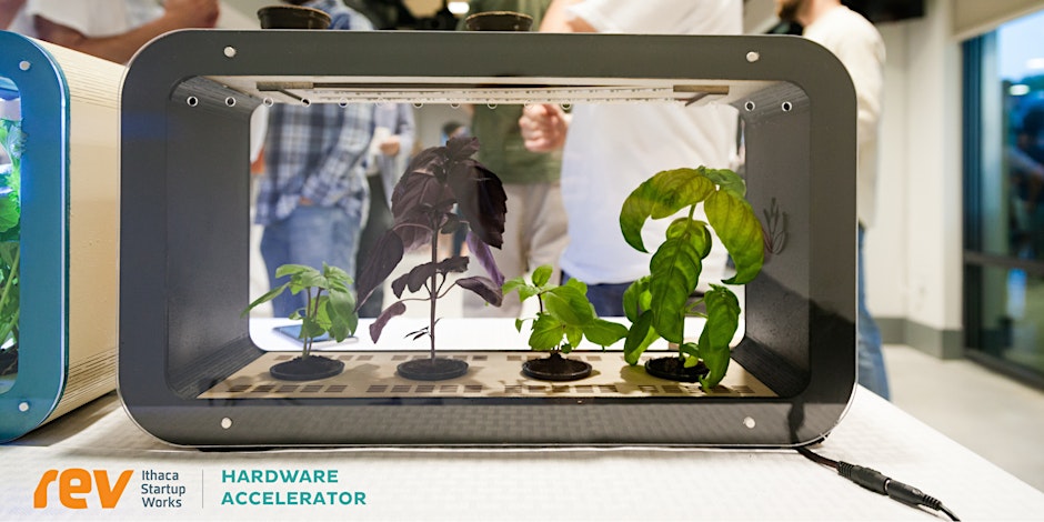 Glass box with plants inside.
