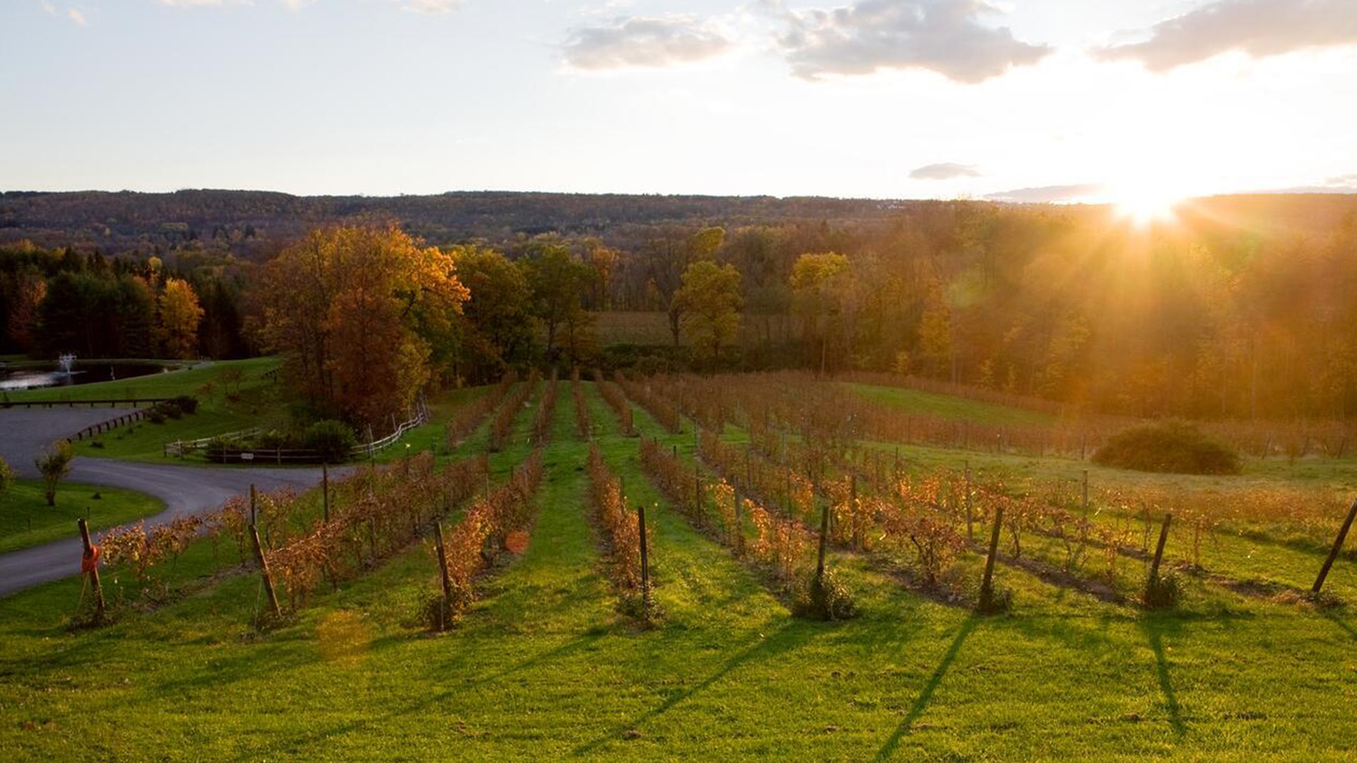 Field being illuminated by the sun rising.